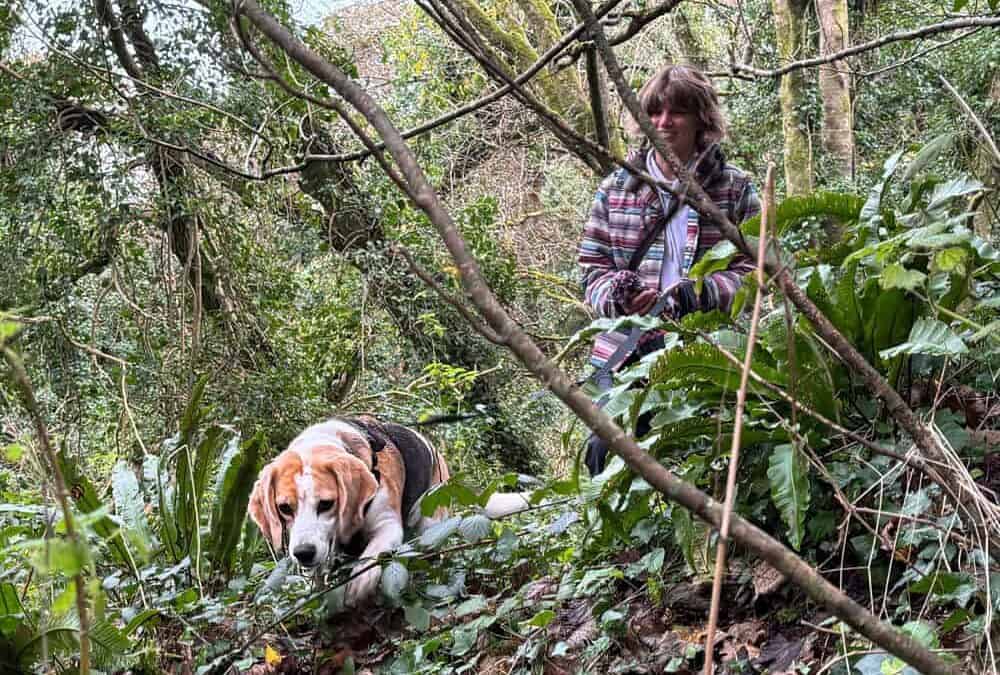 Tracking, Mantrailing and Why Your Dog Doesn’t Care What It’s Called