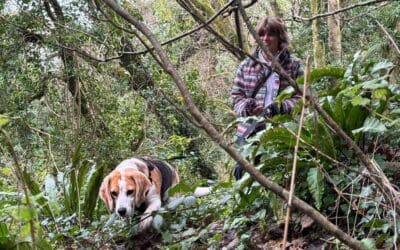 Tracking, Mantrailing and Why Your Dog Doesn’t Care What It’s Called