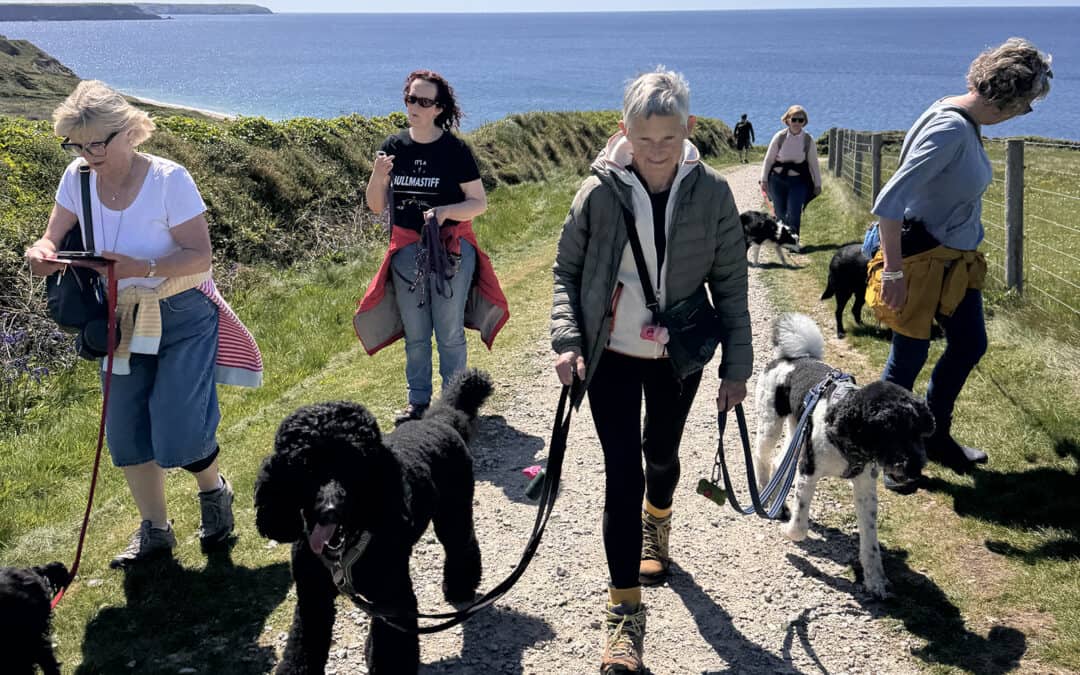 Community dog walk with Love Your Paws