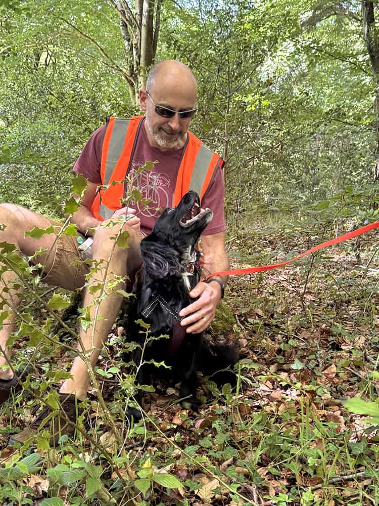 Dog finding a person on a mantrailing session