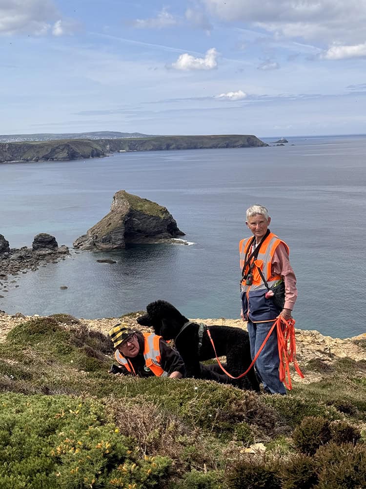 Local dog mantrailing sessions near Helston