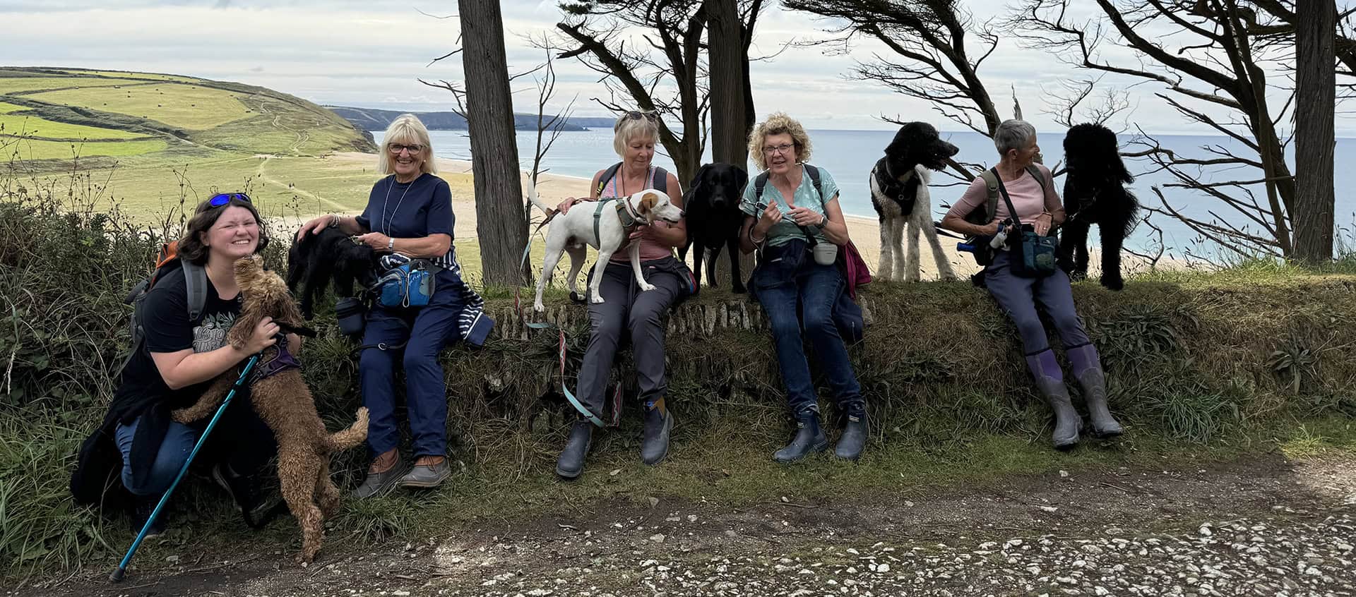 Love Your Paws members on a group dog walk