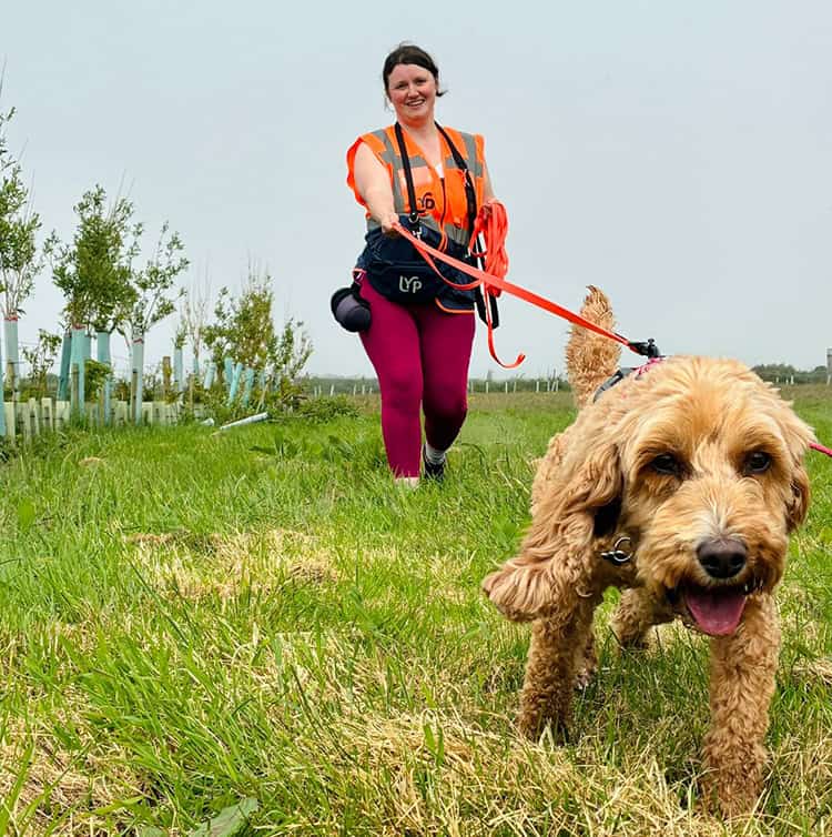 Mantrailing session in West Cornwall with Love Your Paws